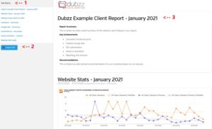 Dubzz Report