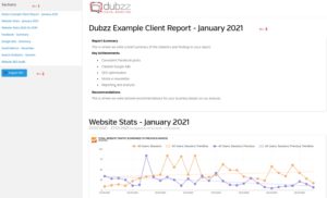 Dubzz Report Summary